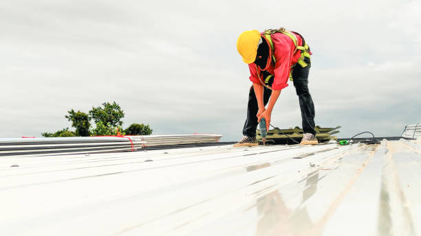 Best Roof Maintenance and Cleaning  in Lisbon Falls, ME